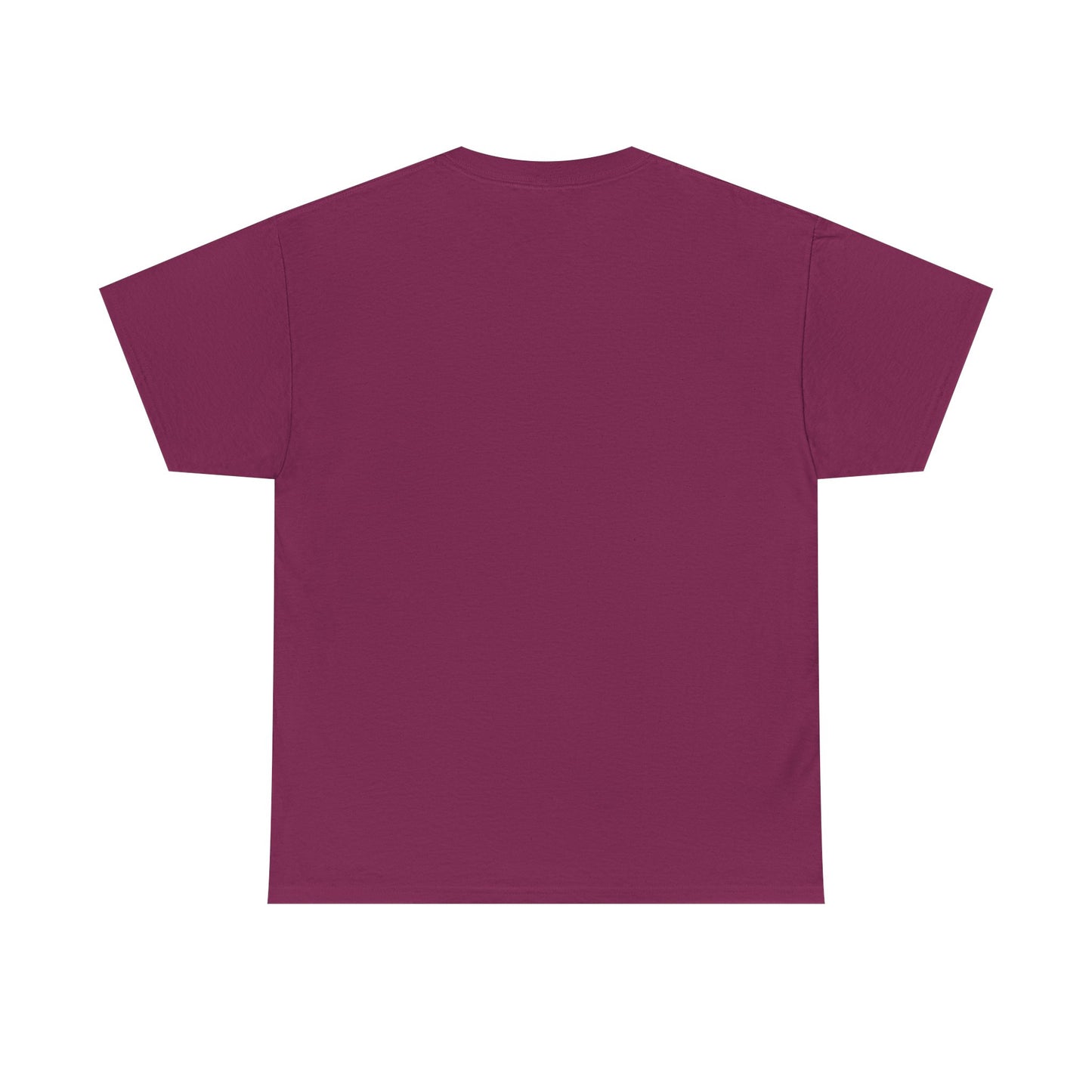Livin the Prayers I used to Pray - Casual Unisex Gildan Heavy Cotton Tee