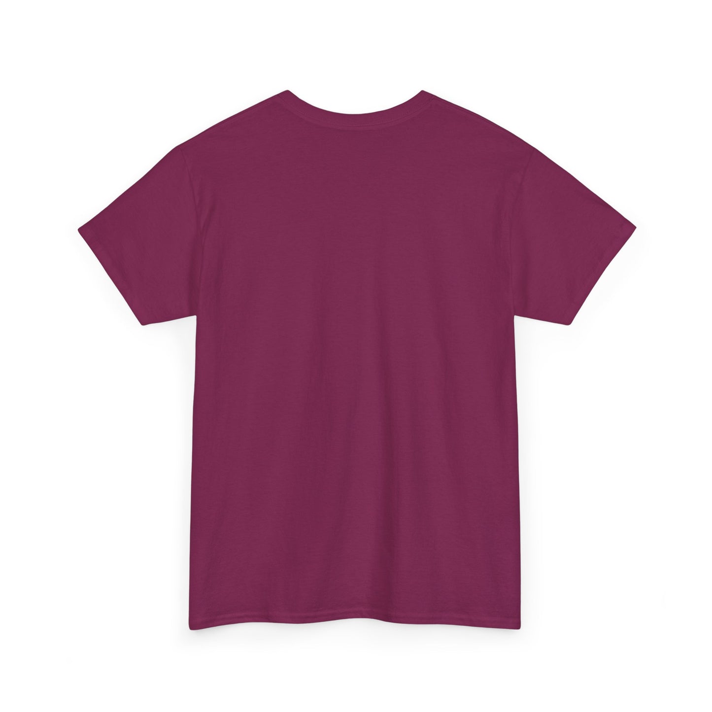 Livin the Prayers I used to Pray - Casual Unisex Gildan Heavy Cotton Tee
