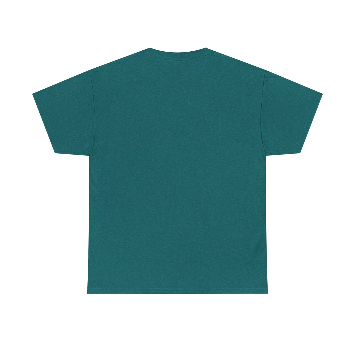 Livin the Prayers I used to Pray - Casual Unisex Gildan Heavy Cotton Tee