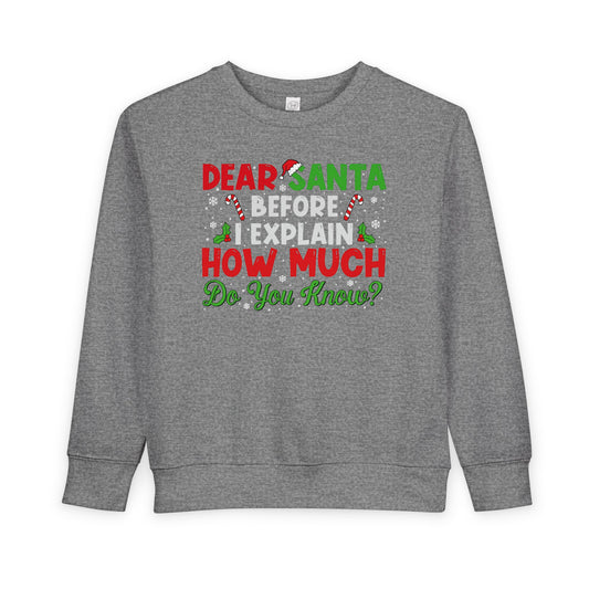 Dear Santa Before I Explain How Much Do You Know Sweatshirt - Kids