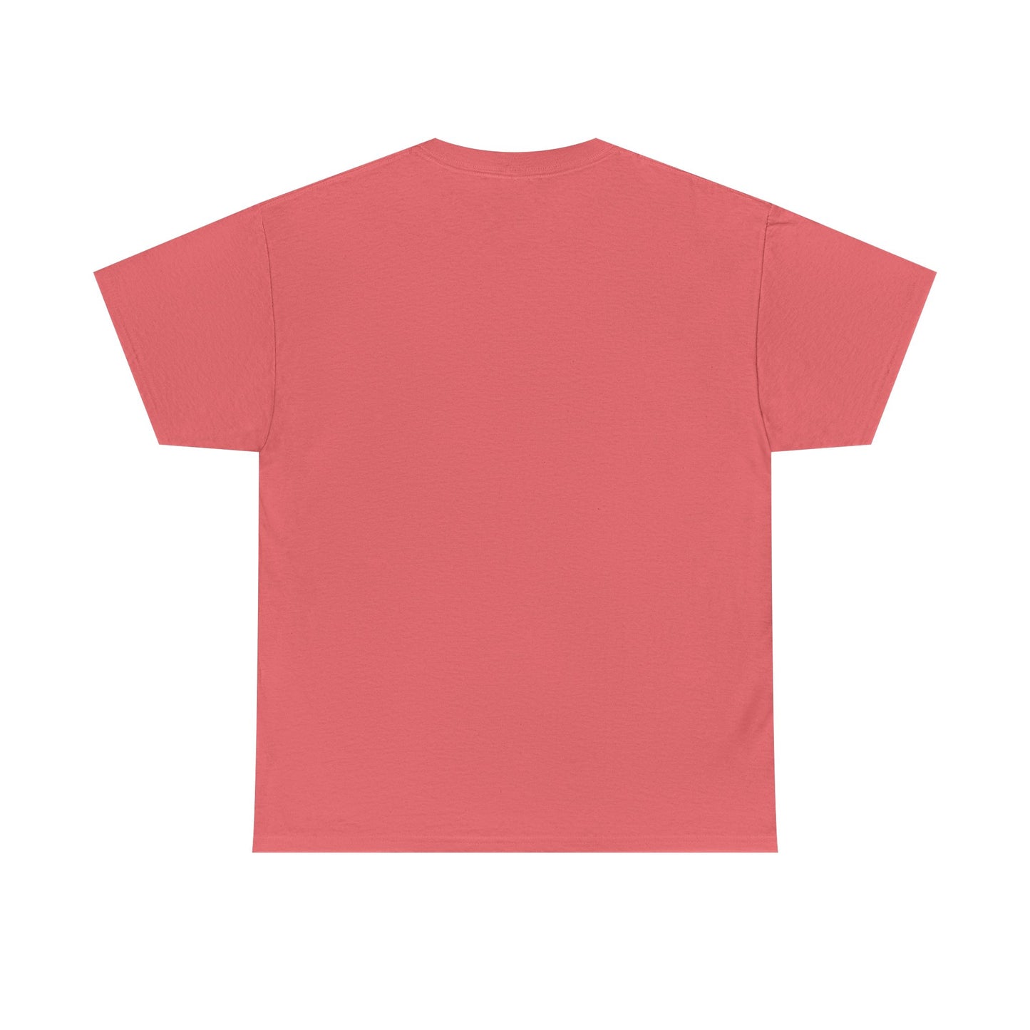 Livin the Prayers I used to Pray - Casual Unisex Gildan Heavy Cotton Tee
