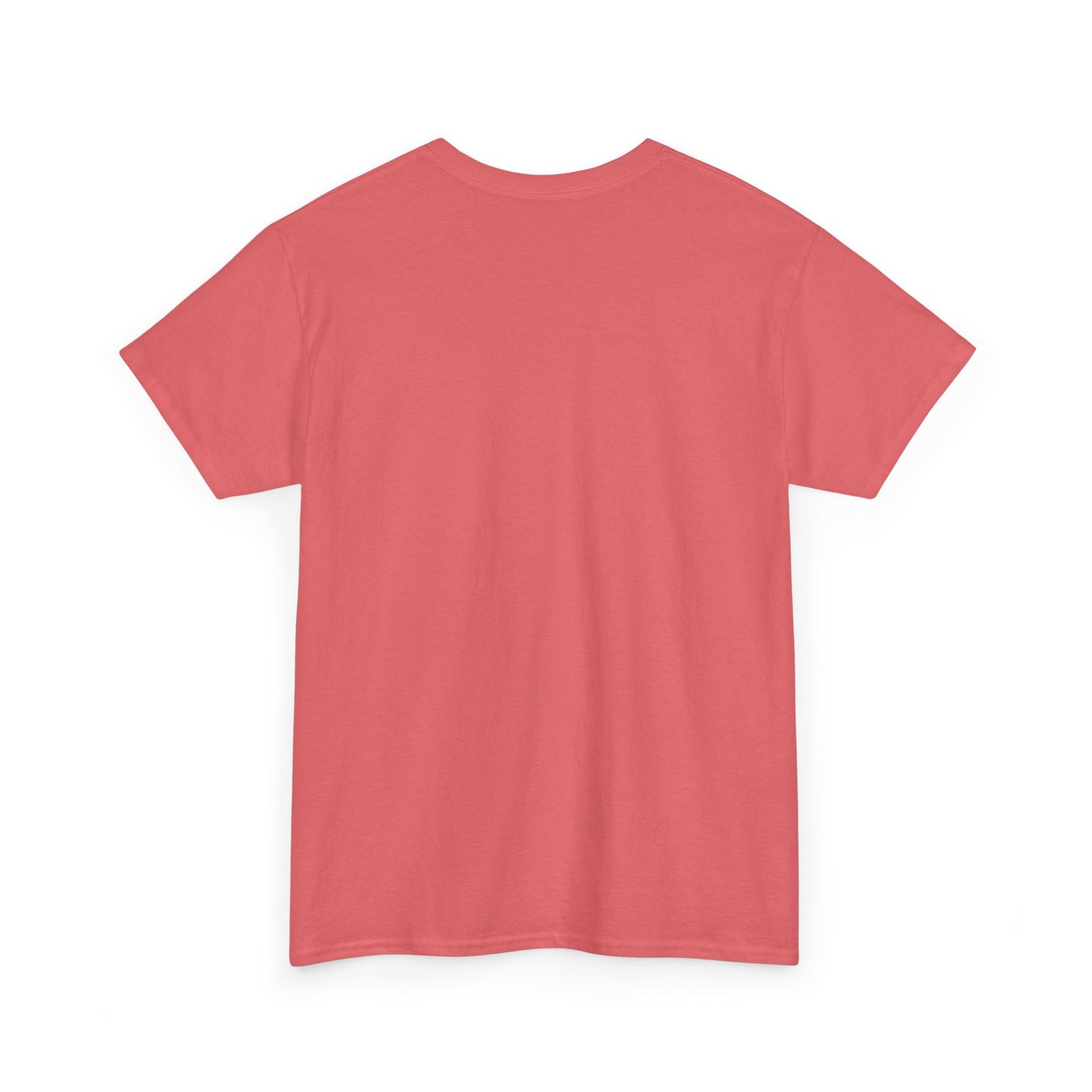 Livin the Prayers I used to Pray - Casual Unisex Gildan Heavy Cotton Tee